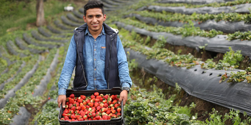 Continúe sus estudios superiores desde su territorio con Universidad a la Finca: click aquí