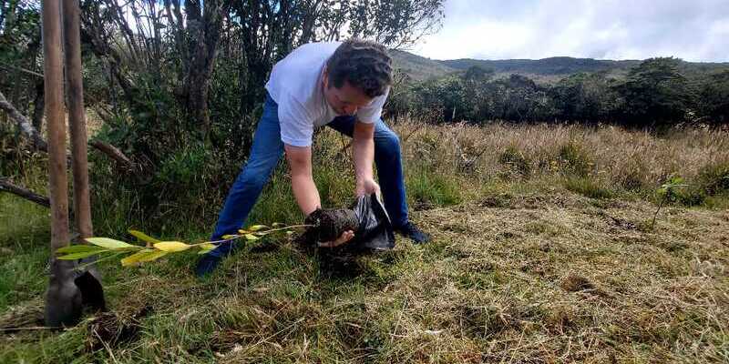 ‘Recicla con TIC’ logró la siembra de 6.000 árboles en Cundinamarca durante este cuatrienio