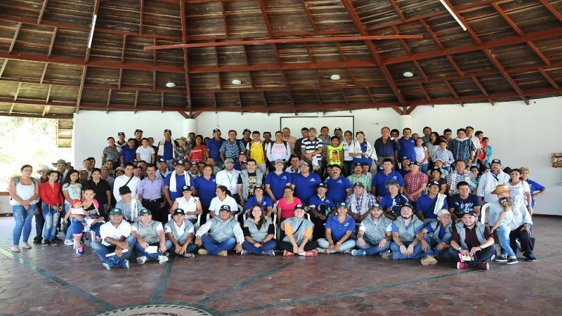 Manuales de Transferencia Tecnológica para sectores agropecuarios y agroindustriales de Cundinamarca



