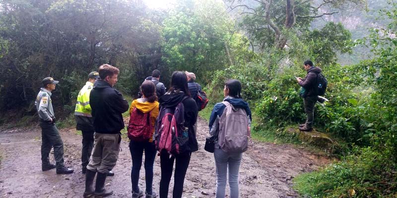 Más de 400 especies de aves reportadas en  el departamento