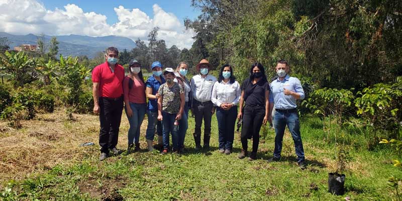500 árboles de nueve especies fueron sembrados en instituciones educativas de Pacho



