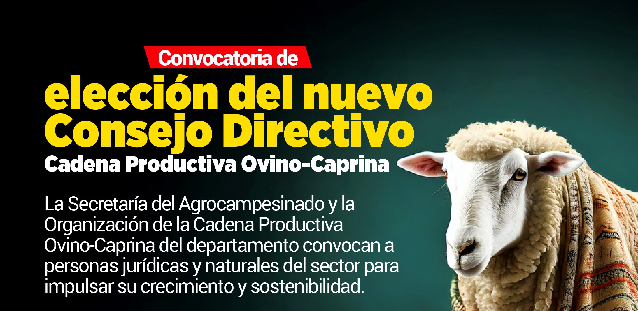 CONVOCATORIA PARA  PERSONAS JURIDICAS Y/O PERSONAS NATURALES – REQUISITOS DE PARTICIPACIÓN.