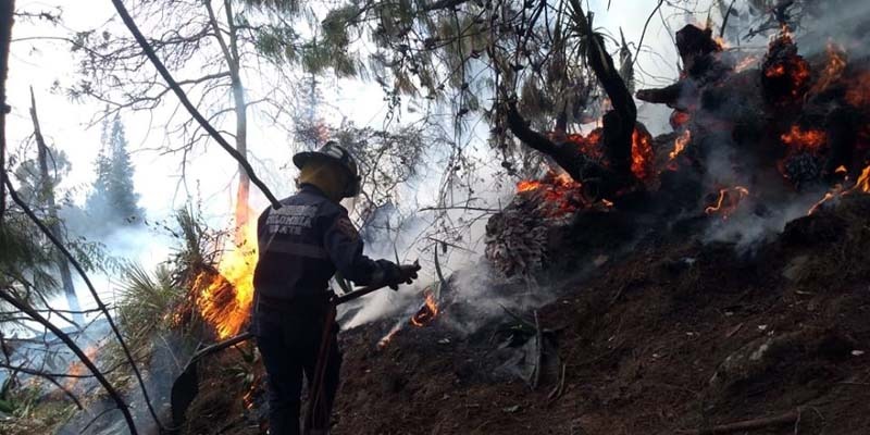 Alerta en Cundinamarca por aumento de incendios forestales 


