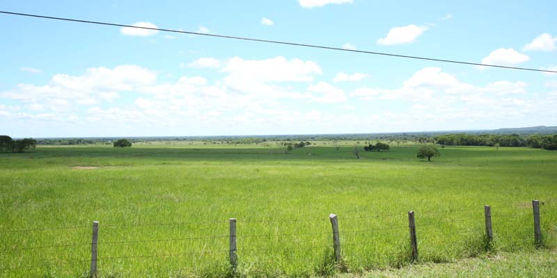 ¡Bienvenidos a la Puerta del Llano!



















