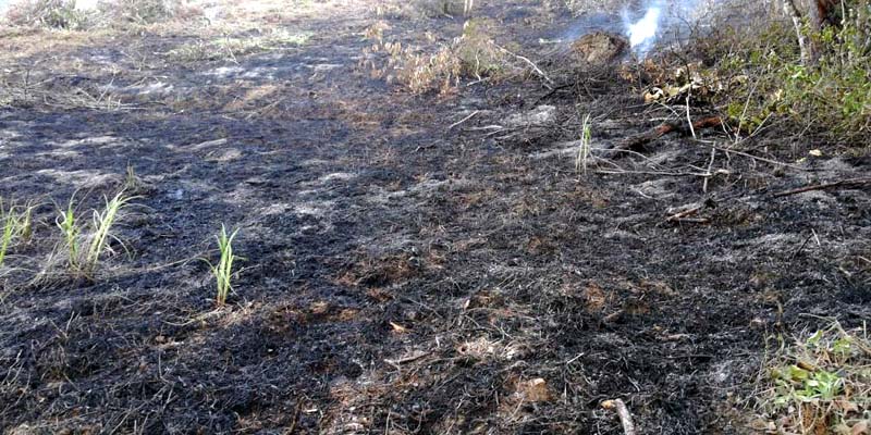 En Cundinamarca termina alerta roja por probabilidad de incendios forestales




