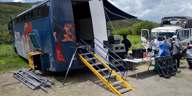 El IPYBAC lideró jornada de esterilización de perros ferales








