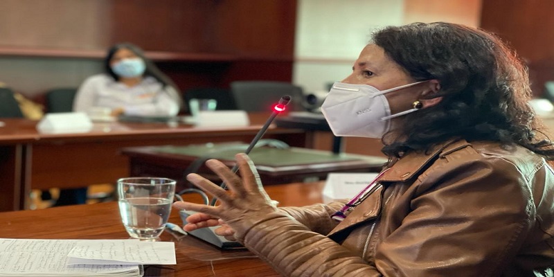 Secretaría de la mujer realizó mesa de trabajo con alcaldesas de Cundinamarca







