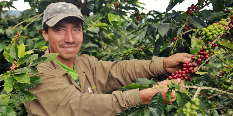 Pequeños productores cundinamarqueses participan en la Mercatón

