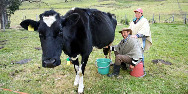 A tomar leche producida en Cundinamarca






