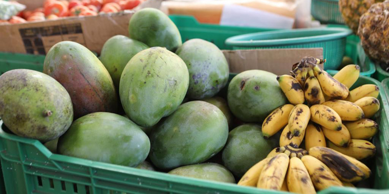 Compramos tu cosecha, la nueva estrategia de compra directa a los productores del campo