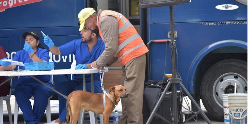Cundinamarca conmemoró el Día Mundial de los Animales