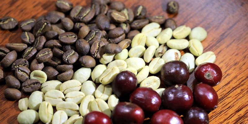 Más de $12.200 millones para impulsar renovación del sector cafetero en Cundinamarca