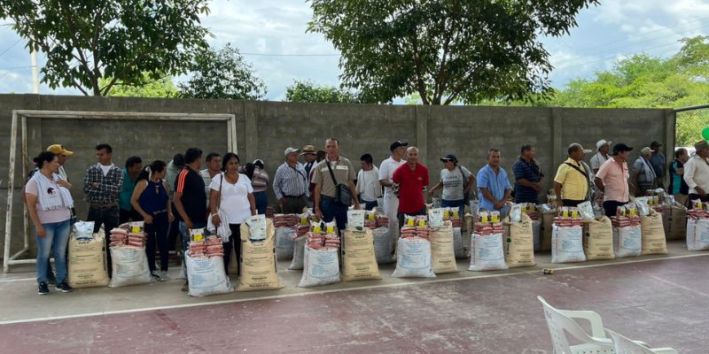 Cundinamarca fortalece la productividad agrícola en Jerusalén
