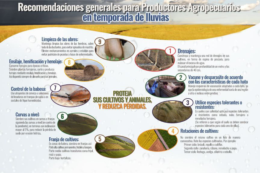 no-contenido