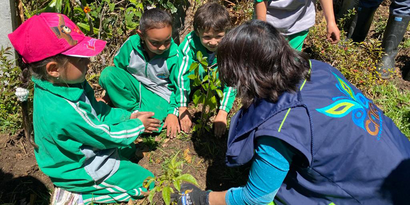 Con la siembra de 400 árboles en Macheta ya son 4.700 en la compensación RAEE por Cundinamarca

