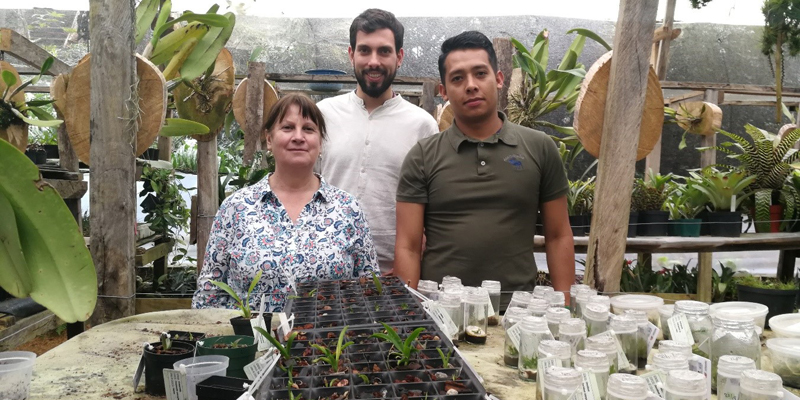 Se fortalece conservación y cultivo de orquídeas nativas en San Antonio del Tequendama y Fusagasugá





