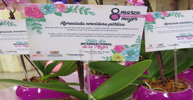 Día Internacional de la Mujer

