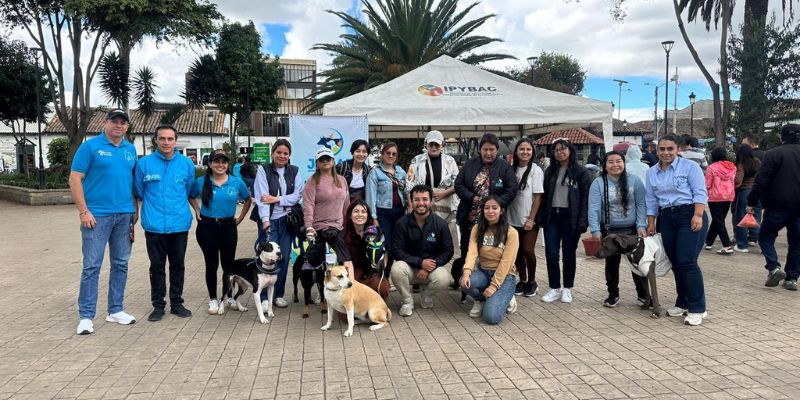Cundinamarca lanza Mesas Provinciales para coordinar acciones en favor del bienestar animal