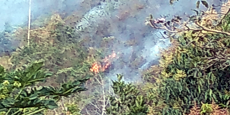 Siete incendios forestales liquidados y dos activos en Cundinamarca


























