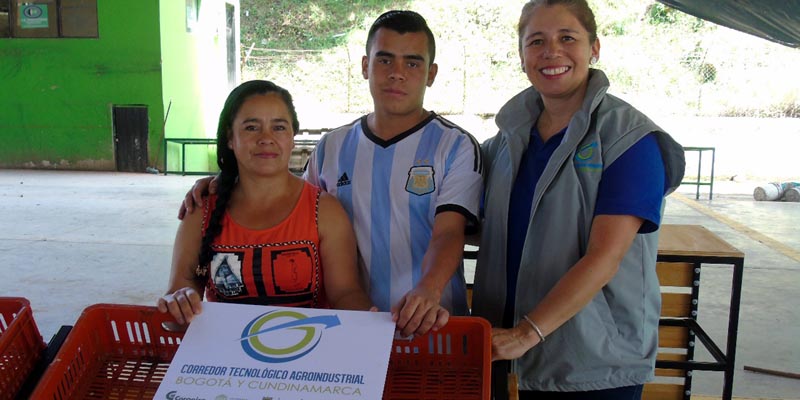 Comerciantes de plaza de mercado de Pacho mejoran exhibición de sus productos
































