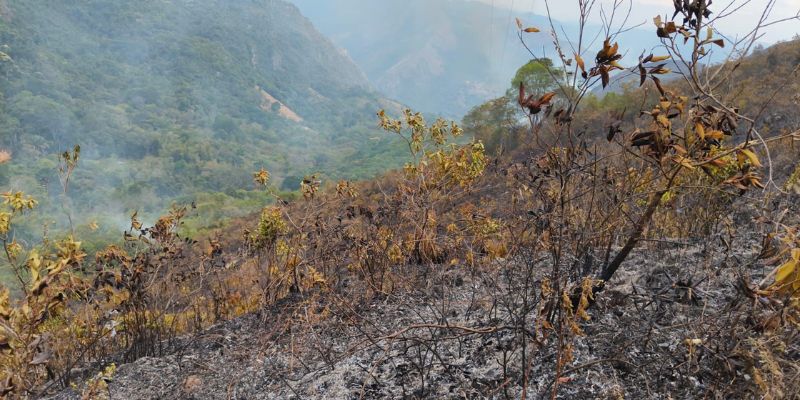 Avanza el control de incendios forestales en Tocancipá, Nilo y Ricaurte