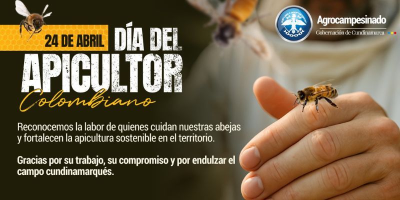 Cundinamarca, el corazón dorado de la apicultura