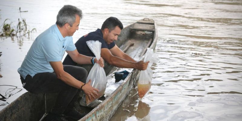 Más de 300.000 peces repueblan el río Magdalena