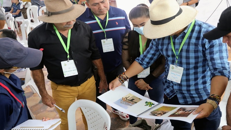 Concurso para la cadena productiva de la guadua
