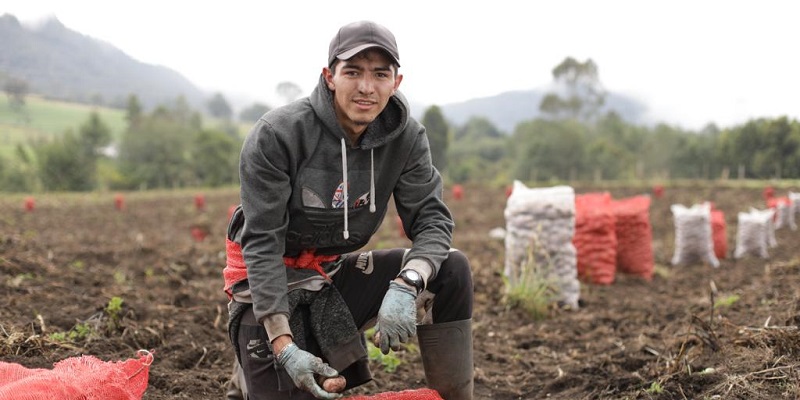 En el Día Mundial de la Agricultura Cundinamarca rinde homenaje a todos sus productores del campo