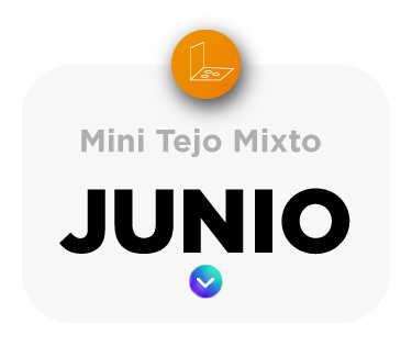 Programación mini tejo