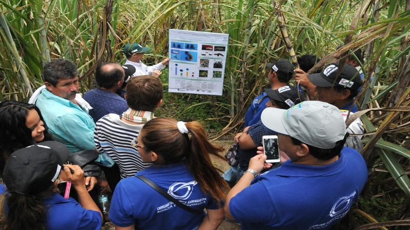 Ciencia, tecnología e innovación al servicio de campesinos de Cundinamarca y Bogotá











