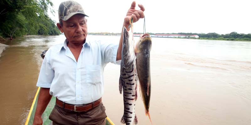 Fonsa abre convocatoria pública para elegir representantes de pequeños  productores agropecuarios y  pesqueros 





























