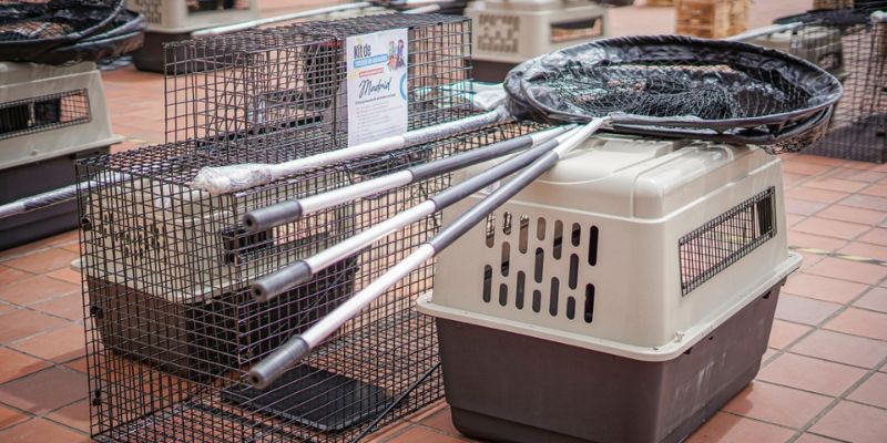 Bomberos de seis municipios de Cundinamarca reciben kits apícolas para emergencias con enjambres