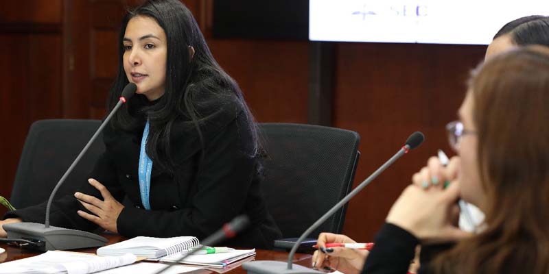 El Plan de Igualdad de Oportunidades, PIO, fue analizado por mujeres cundinamarquesas