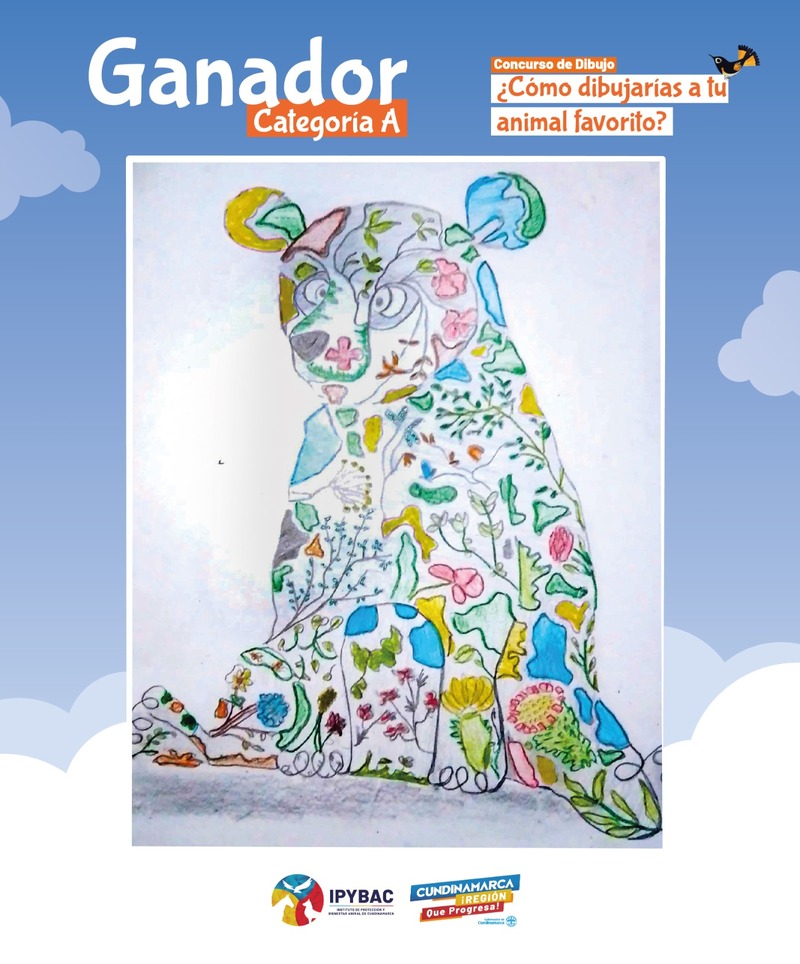 IPYBAC anuncia finalistas del concurso de dibujo "¡Mi animal favorito!"