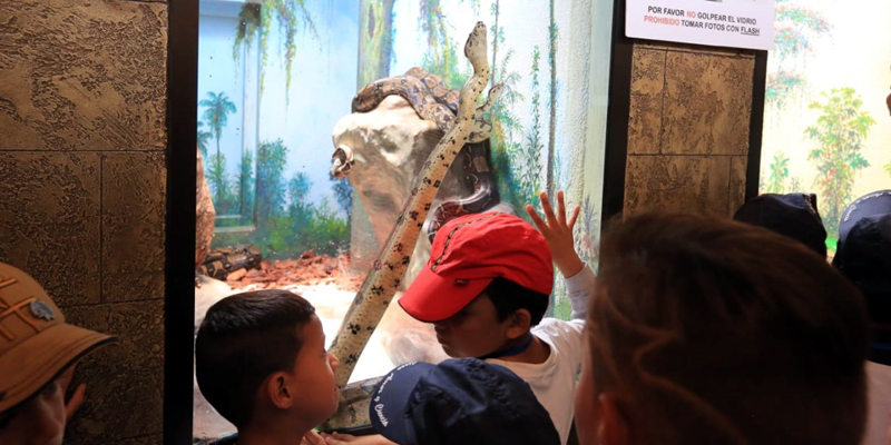 Intercambio de roles y saberes con niños y niñas afro e indígenas en el parque Jaime Duque





