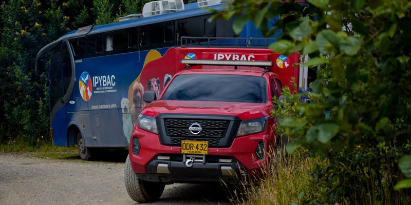 El IPYBAC, primer instituto de bienestar animal departamental en Colombia
