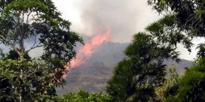 Bomberos, CAR y comunidad atienden incendio forestal en Nimaima


































