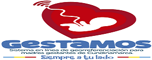 Imagen:  Sistema en Linea de Georreferenciación para madres gestantes