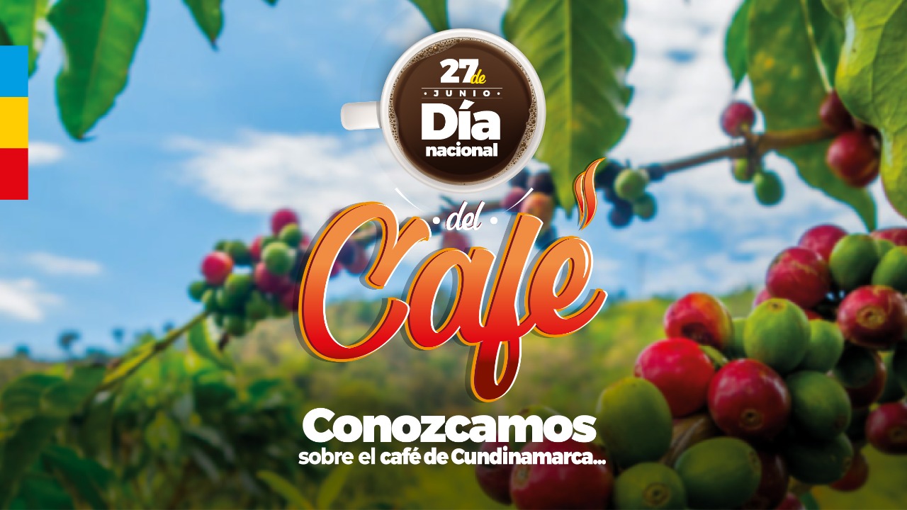 Cundinamarca, tierra de caficultores


