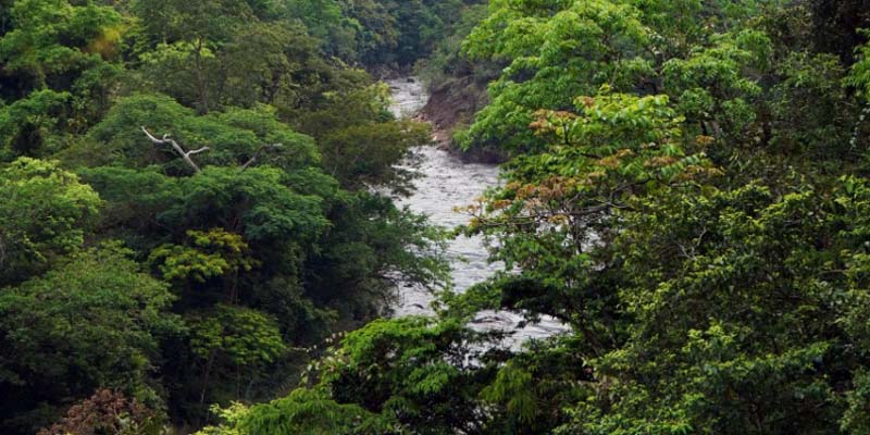 Alerta roja por probabilidad de crecientes súbitas en la cuenca del río Negro












