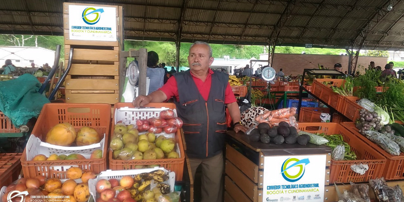 Nuevos empaques de exhibición en plazas de mercado 






































