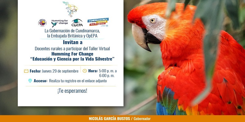 Segundo módulo  Por la vida silvestre