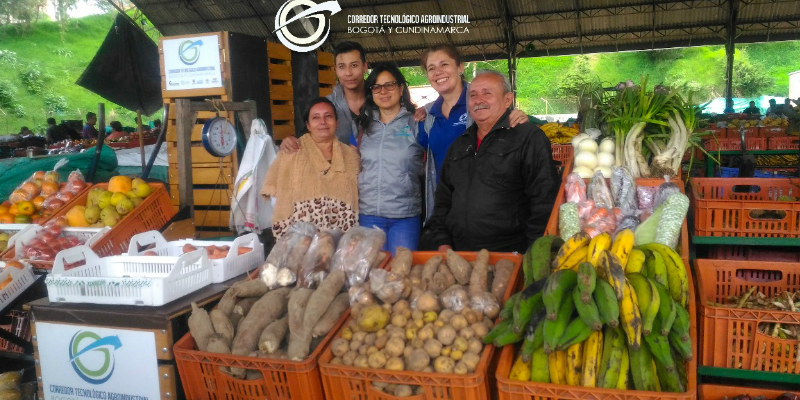 Nuevos empaques de exhibición en plazas de mercado 






































