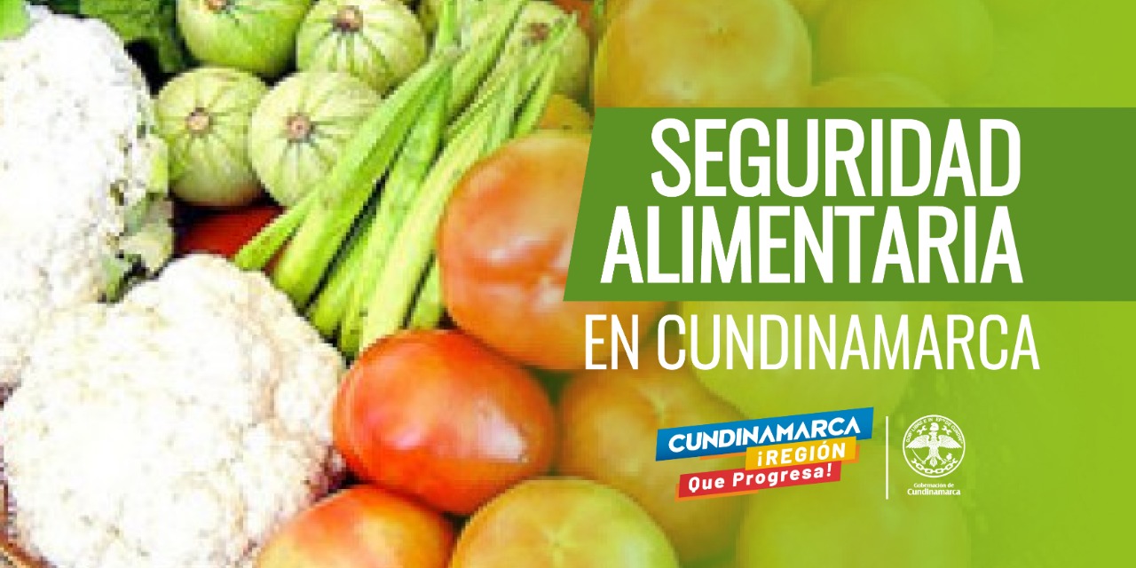 Control a la producción, distribución y suministro de alimentos en Cundinamarca