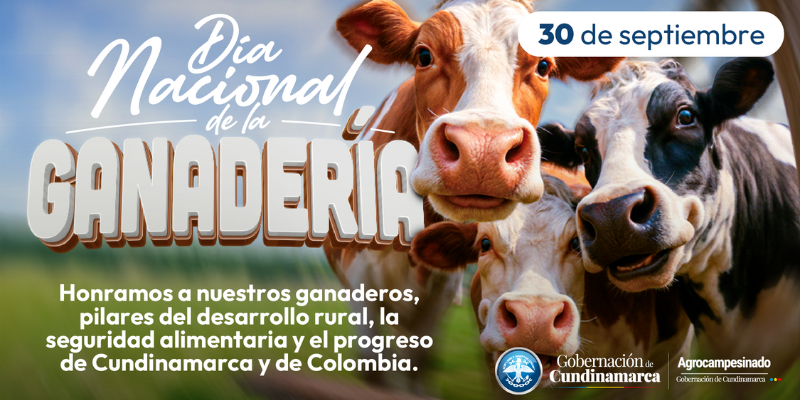Cundinamarca, productor de 5,8 millones de litros de leche diarios, impulsa más de mil proyectos para la competitividad ganadera