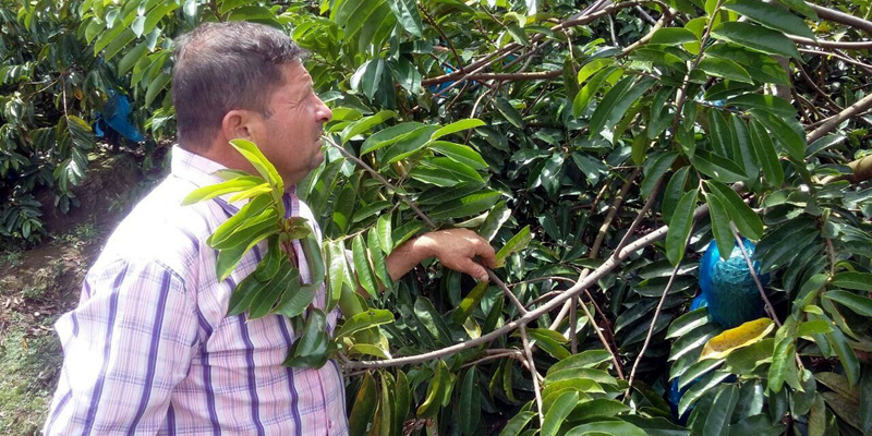 Productores aprenden a comercializar sus productos sin intermediarios











































