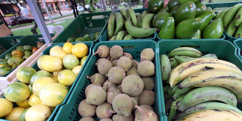 Buenos precios, millonarias ventas y productos de excelente calidad en los Mercados Campesinos 


























































