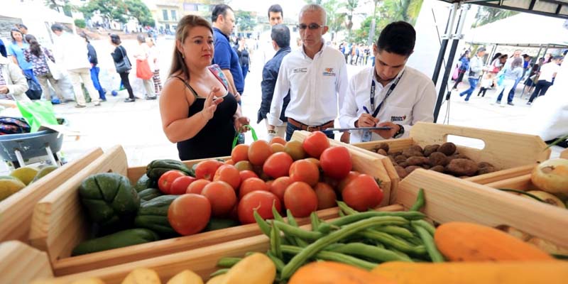 Exitosa jornada de ‘Cambio Verde’ en Fusagasugá



