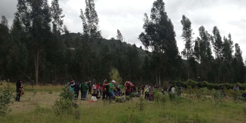 Ciento sesenta millones de pesos para siembra de árboles en la cuenca del río Bogotá































































